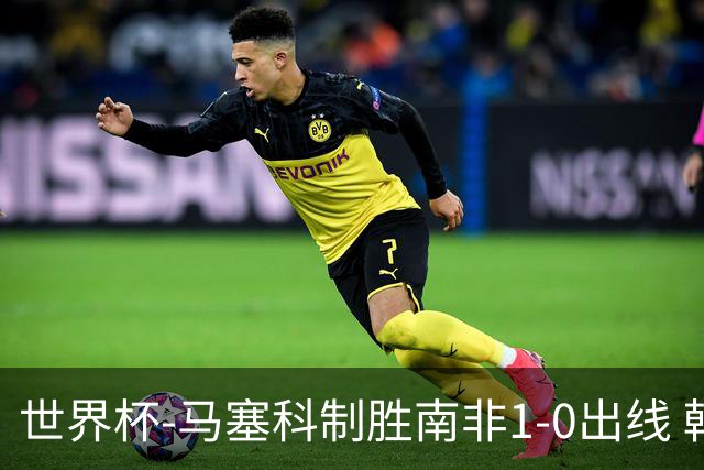 世界杯-马塞科制胜南非1-0出线 韩国积3分获小组第三待定